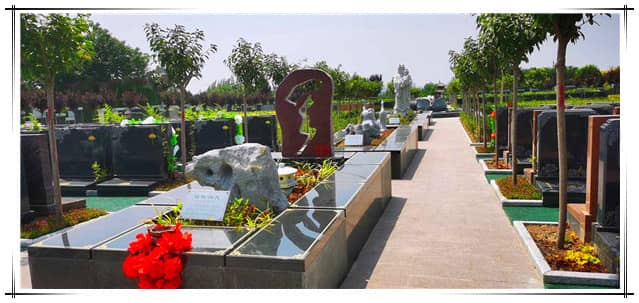 如何從西安市中心乘坐班車前往閻良漢皇樹葬墓園？