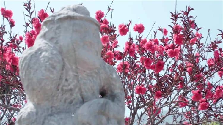 西安霸陵墓園實(shí)時(shí)路況查詢-祭掃高峰期避堵指南