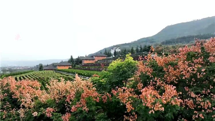 西安霸陵墓園新區(qū)預(yù)約掃墓流程詳解：規(guī)定、日期選擇、預(yù)約操作與注意事項(xiàng)